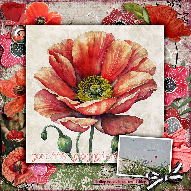 Pretty Poppies by Mixed Media by Erin