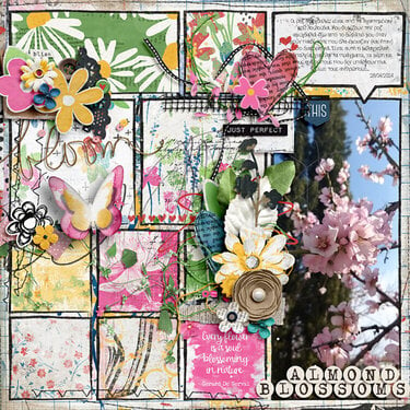 Blossom by Blossom by Pink Reptile Designs and Tracie Stroud