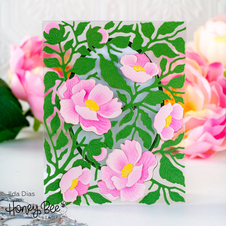 Bold Backgrounds: Vintage Roses See Through Card | Honey Bee Stamps