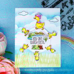 Quacktastic Wheel Spinner Card