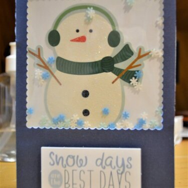 Snow Days Shaker Card