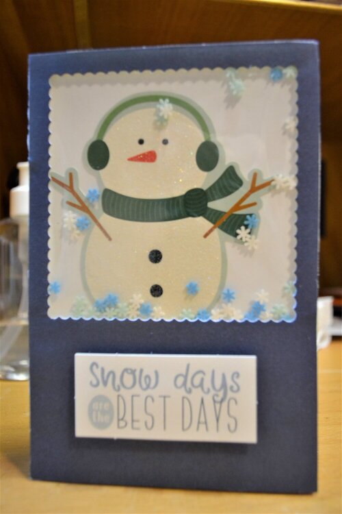 Snow Days Shaker Card