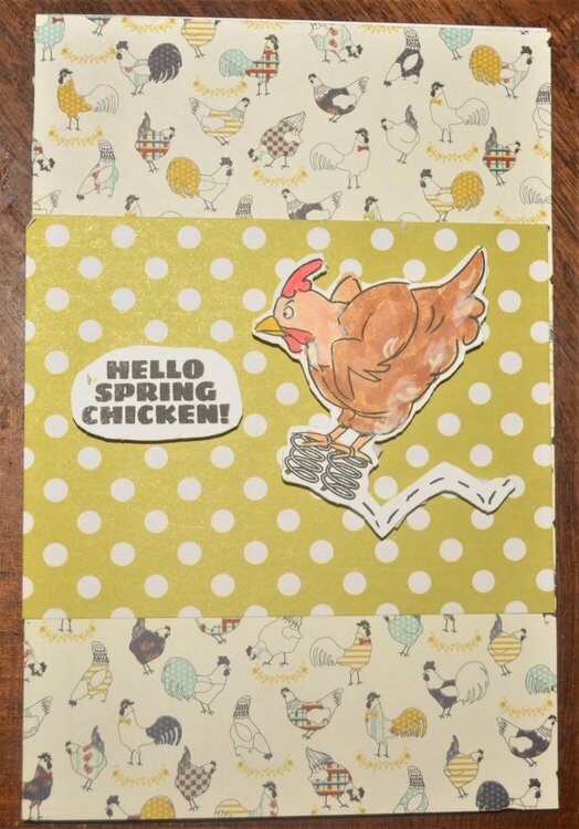 Hello Spring Chicken