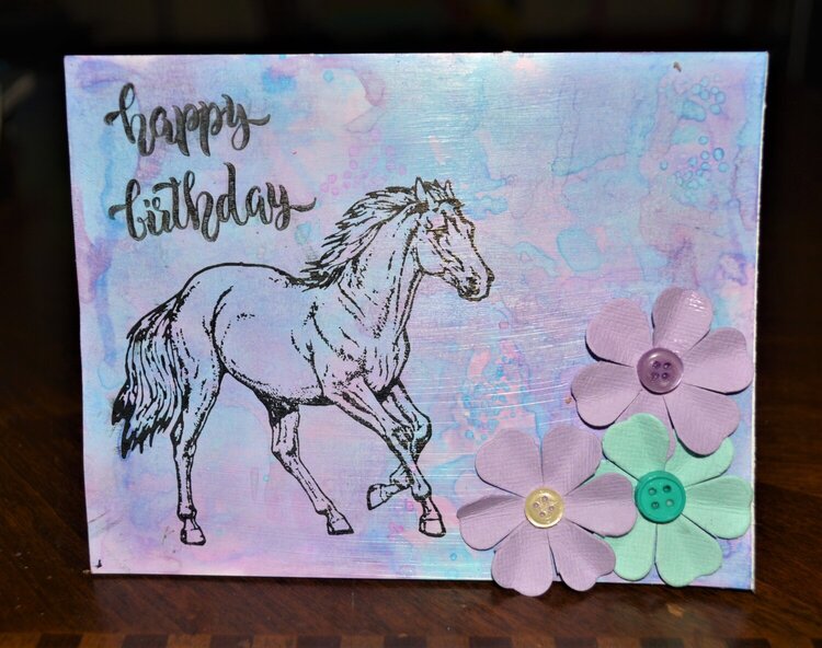 Happy Birthday -Horse