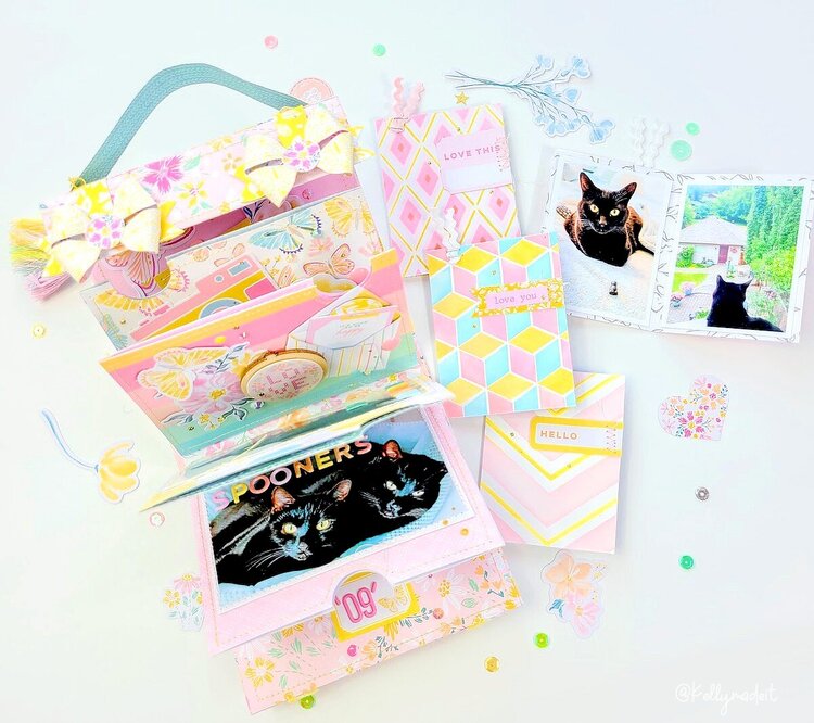 Kittycat Love - Suitcase Mini Album