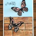 Happy Spring Butterfly Card