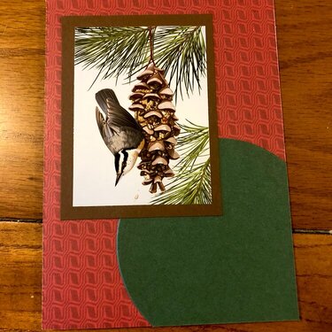 Christmas Woodpecker