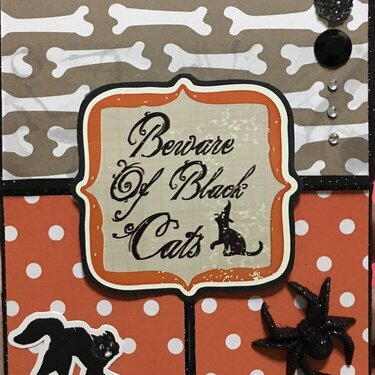 Beware of Black Cats