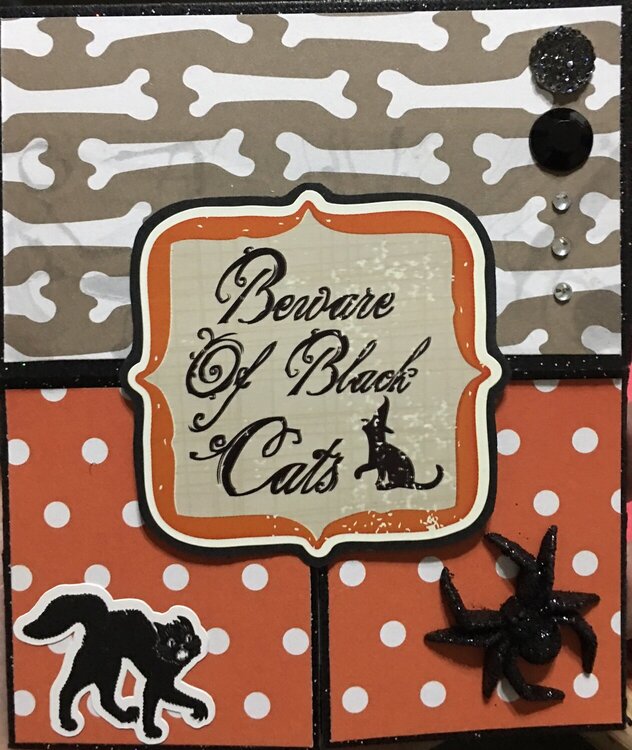 Beware of Black Cats