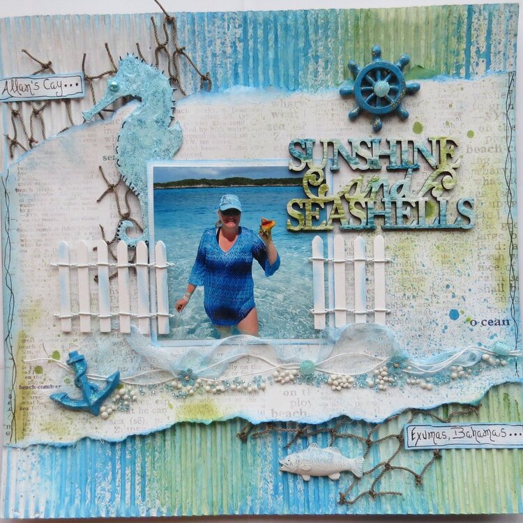 Sunshine and Seashells - Exumas... Bahamas