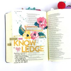 Seek Knowledge