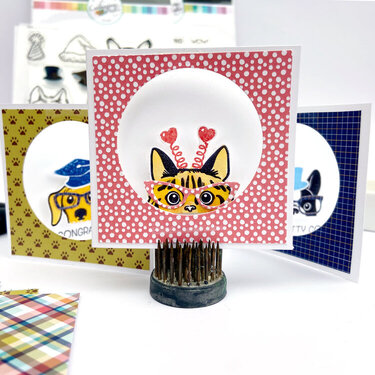 Peek-A-Boo Pet Mini Cards