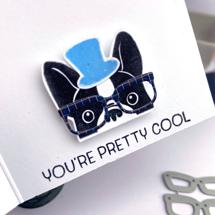 Peek-A-Boo Pet Mini Cards