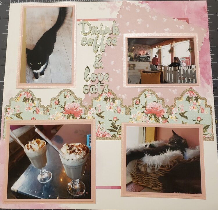 Cat Cafe (right side)