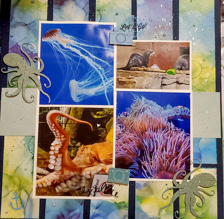 Aquarium layout 2