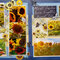 Sunflower fields whole layout