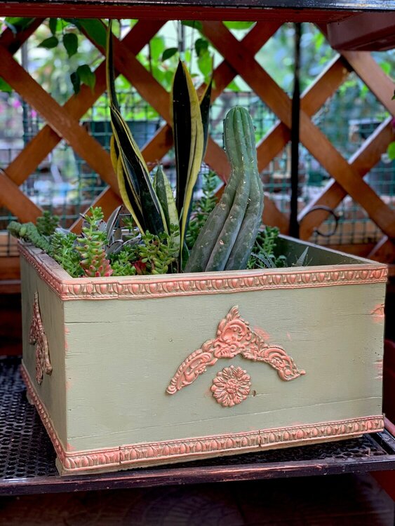 recycled box pot