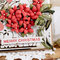 Poinsettias Christmas Card