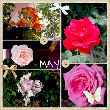 May flowers