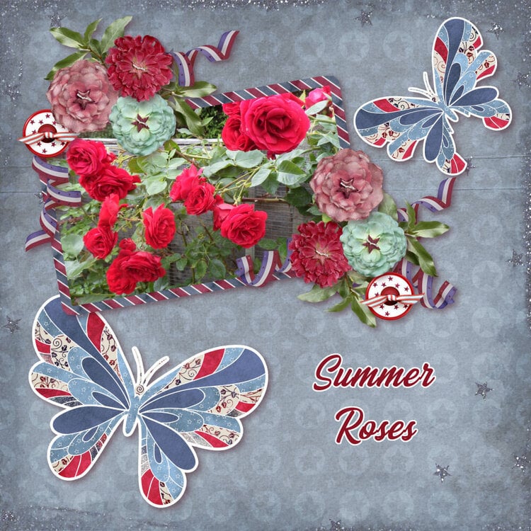 Summer Roses