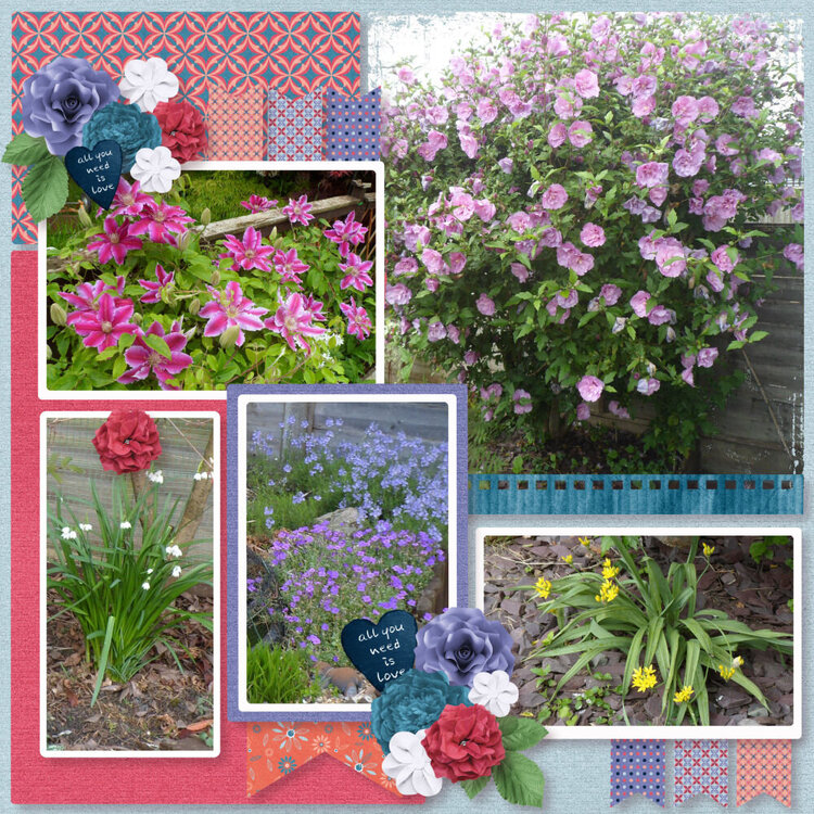 Our garden in the Summer