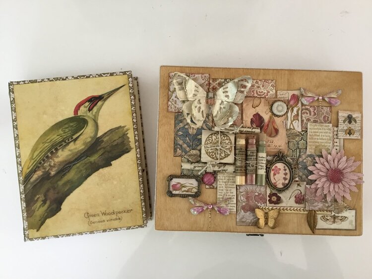 Nature Journal for Robs box