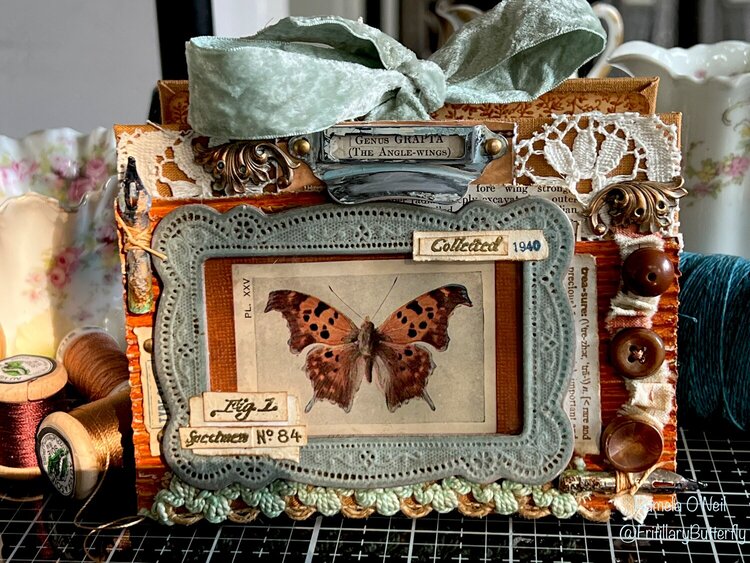 Butterfly index card book 
