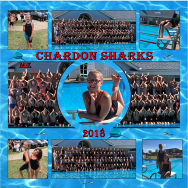 Swim Team 2018