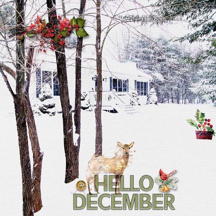 Hello December