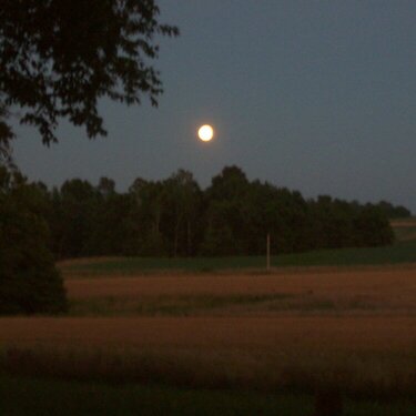 Full Moon Over the Wheat Field