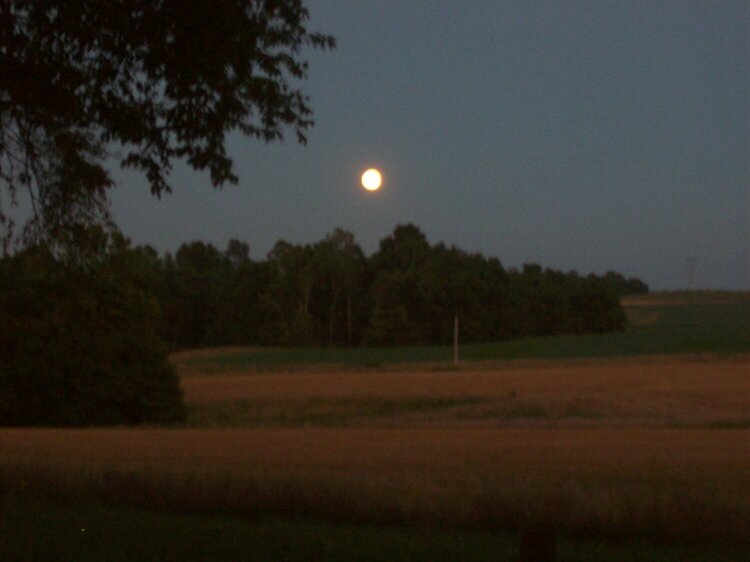 Full Moon Over the Wheat Field