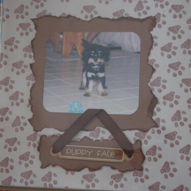 Bailey Scrapbook