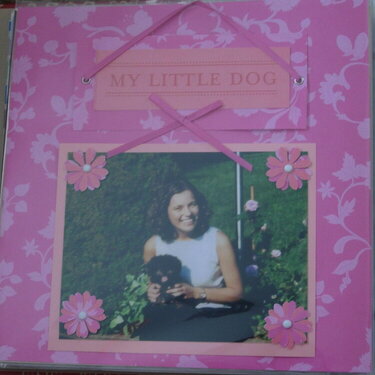 Bailey Scrapbook