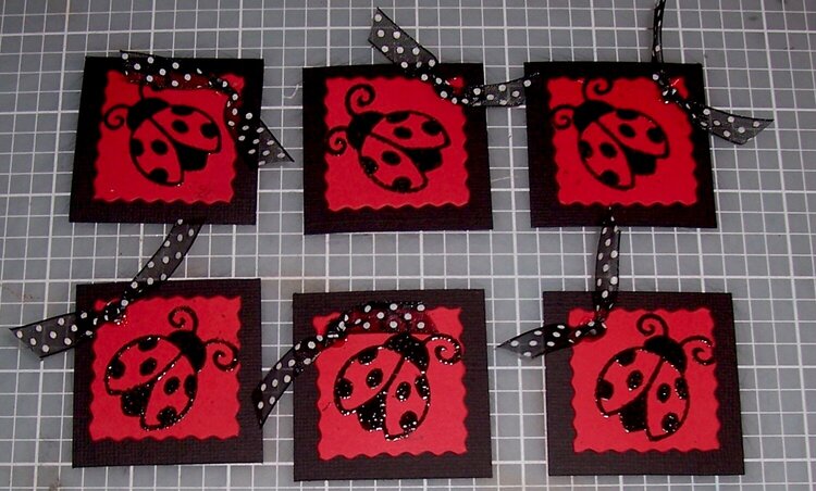 Ladybug Deco&#039;s for Damomma&#039;s bug swap