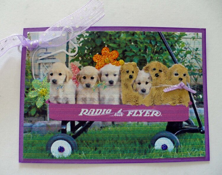 Wagonful of Puppies
