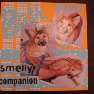smelly companion