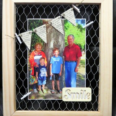 Chicken Wire Frame