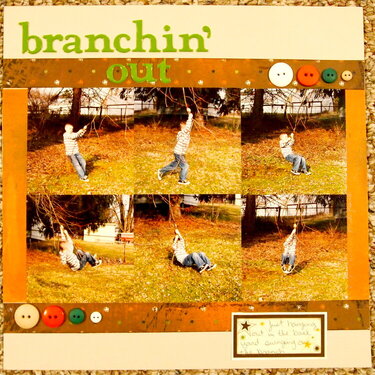 Branchin&#039; Out