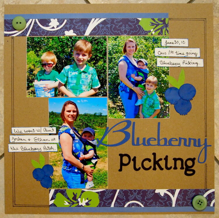Blueberry Picking (Ian&#039;s album)
