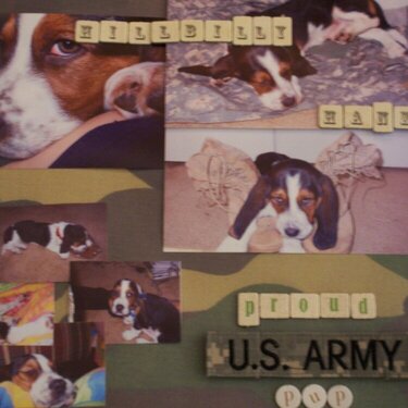 Proud Army Pup