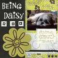 Being Daisy