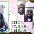 Snow flake shake