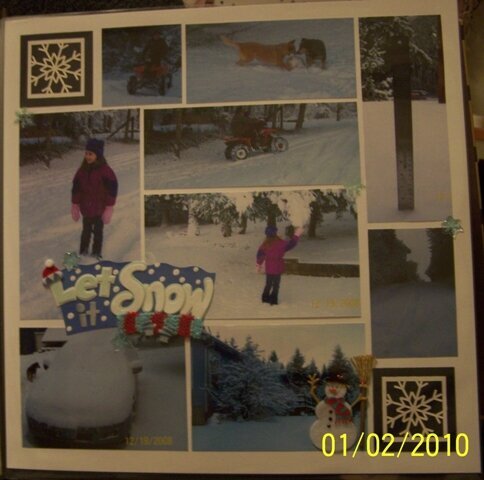 Snow 2008