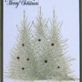 2009 Christmas Card