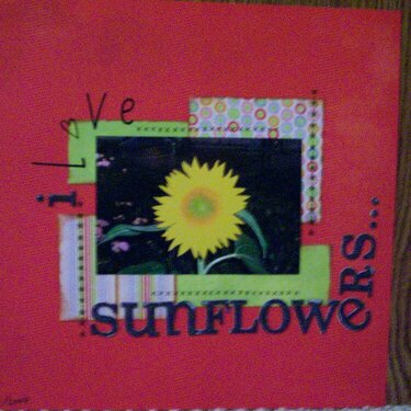 i love sunflowers...