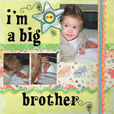 I&#039;m A Big Brother
