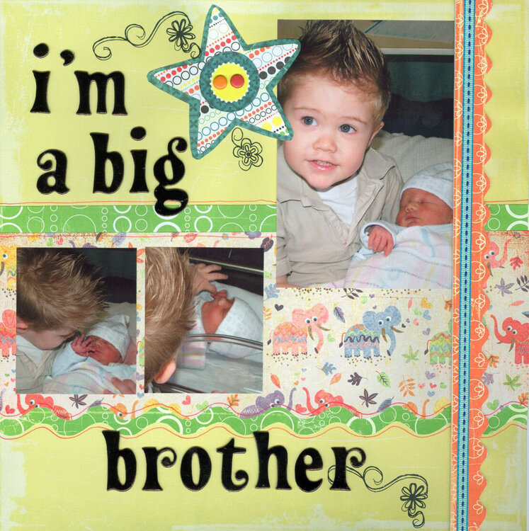 I&#039;m A Big Brother