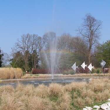 Mini rainbow at paradiso park