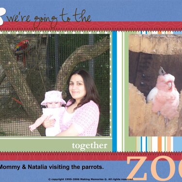 visiting the zoo.