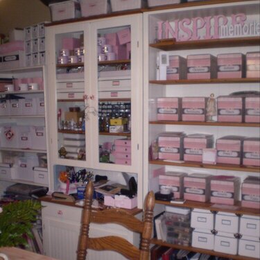 Pink Storage